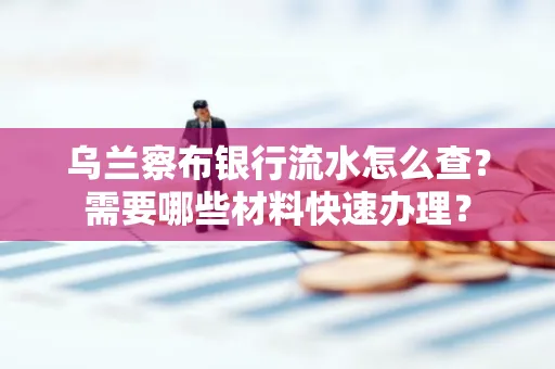乌兰察布银行流水怎么查？需要哪些材料快速办理？