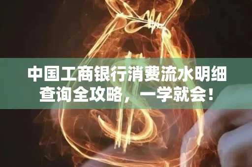 中国工商银行消费流水明细查询全攻略，一学就会！